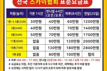 스카이가격